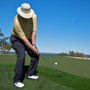 dave pelz for the serious golfer image