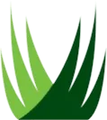 SYNLawn Golf