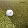 6′ x 12′ Dave Pelz GreenMaker™️ - Image 5