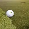 12′ x 18′ Dave Pelz GreenMaker™️ - Image 5